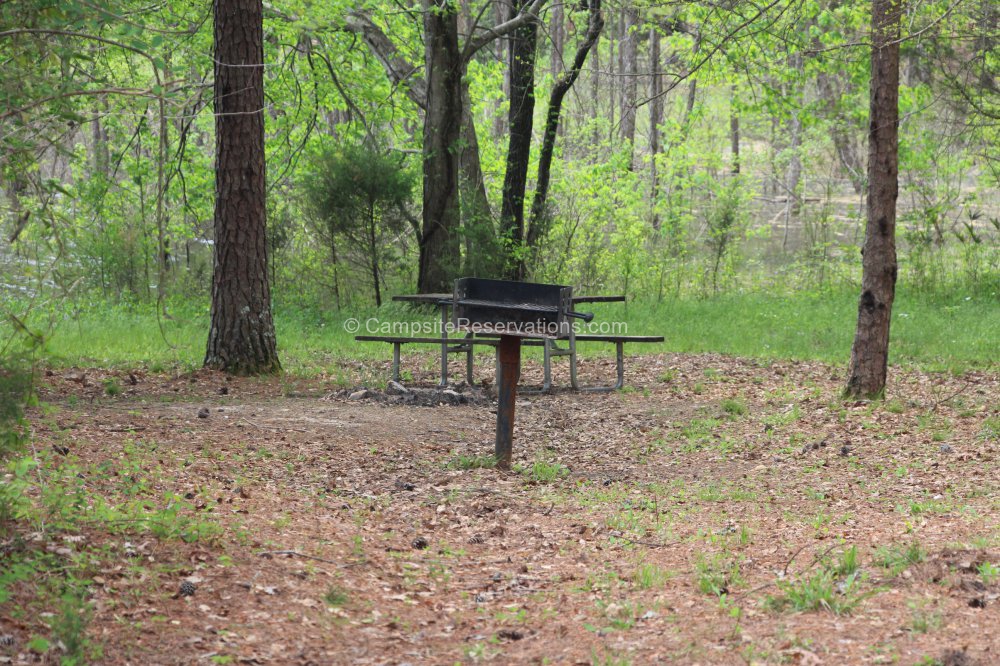 Photo of Campsite 45 in Tishomingo State Park Campground at Tishomingo